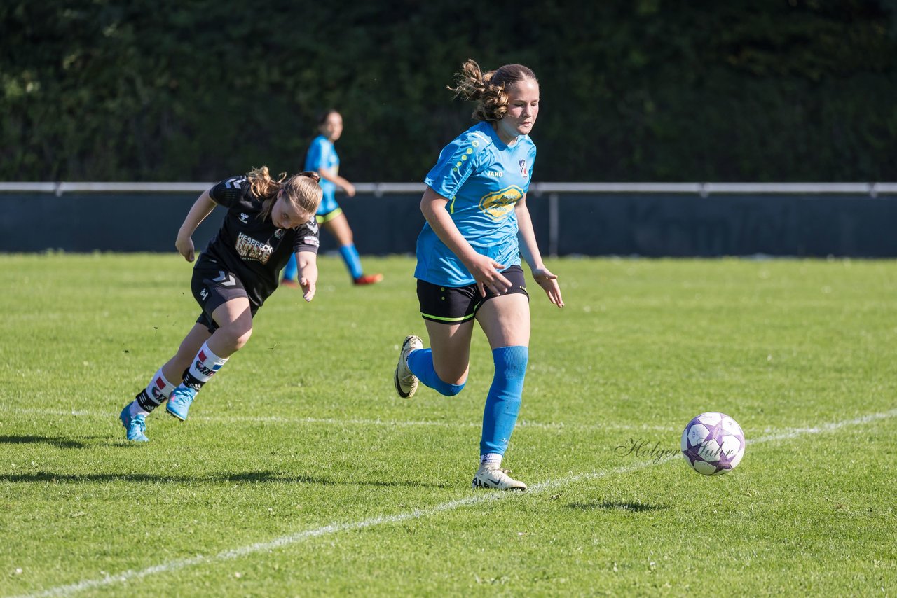 Bild 150 - wBJ SV Henstedt Ulzburg - FSG Oldendorf Itzehoe : Ergebnis: 2:5